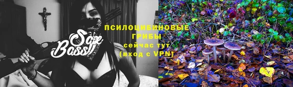 гидропоника Бугульма