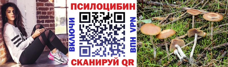 Галлюциногенные грибы Psilocybine cubensis  Новороссийск 